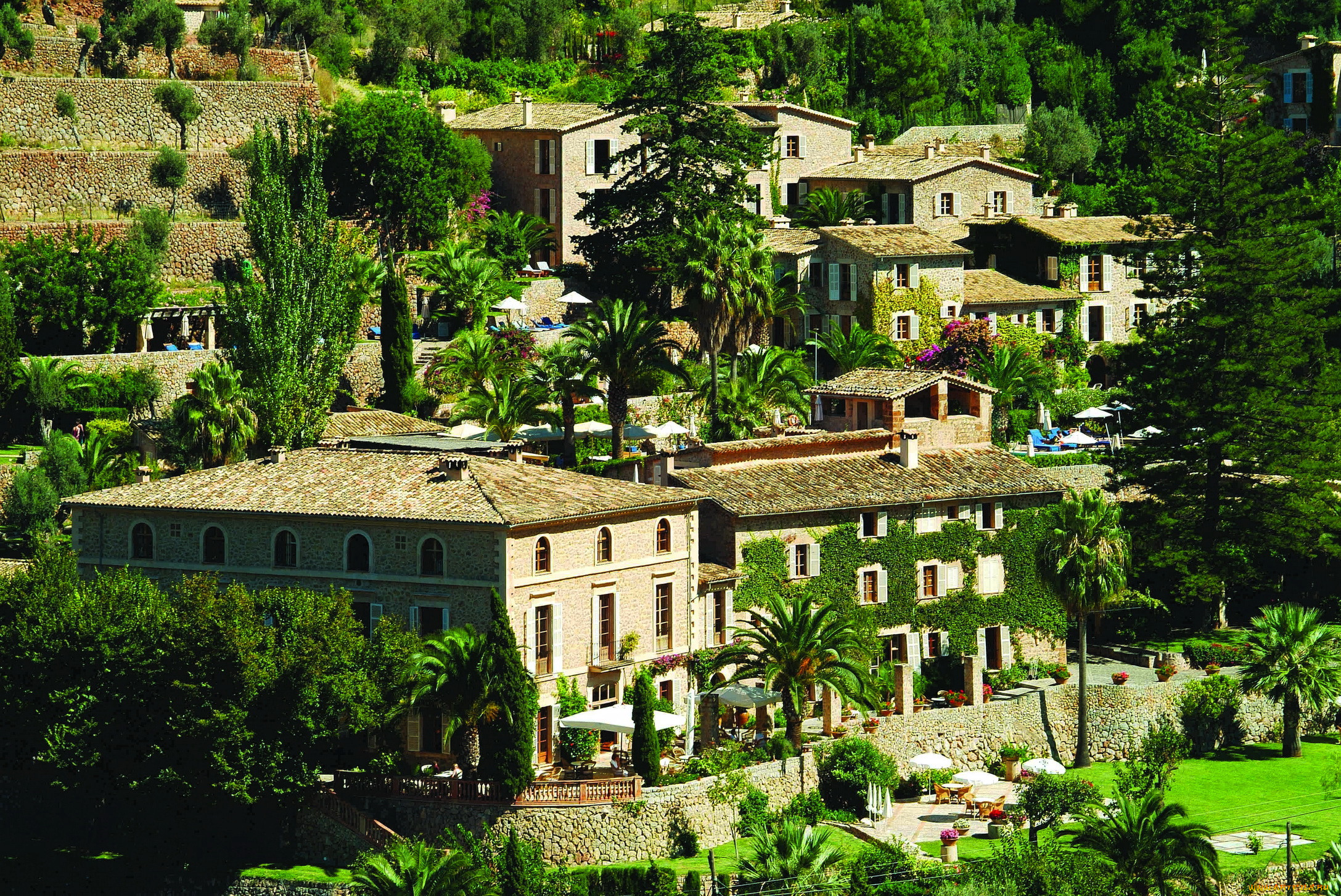 mallorca, , - ,  , , , -, mallorca, , , 
